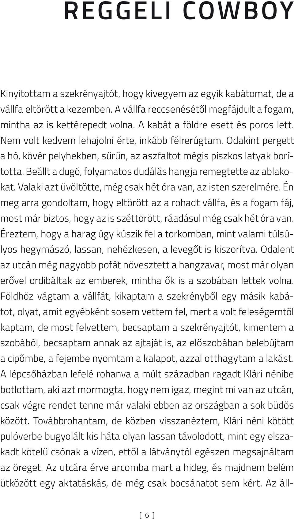 Beállt a dugó, folyamatos dudálás hangja remegtette az ablakokat. Valaki azt üvöltötte, még csak hét óra van, az isten szerelmére.