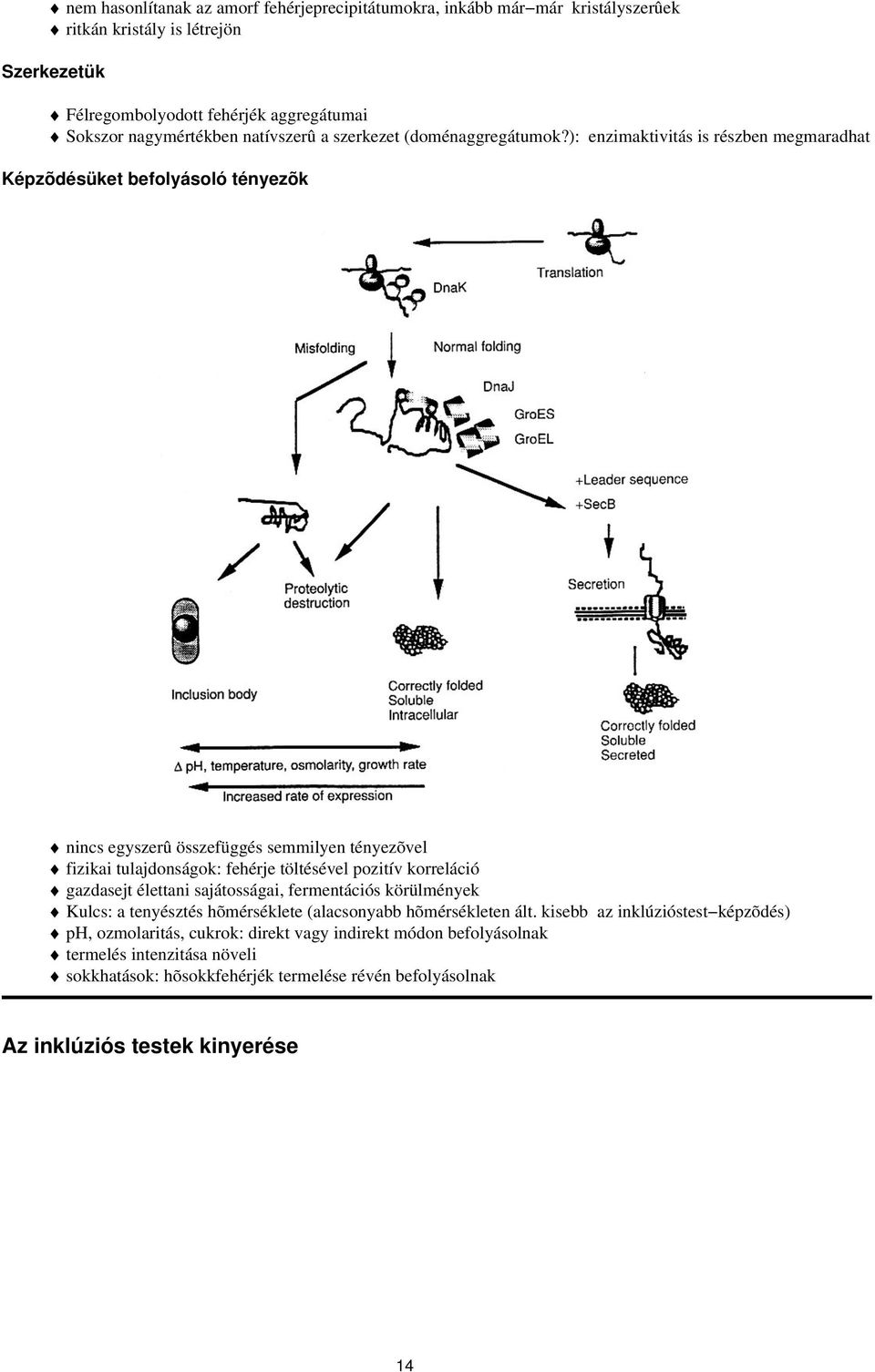 ): enzimaktivitás is részben megmaradhat Képzõdésüket befolyásoló tényezõk nincs egyszerû összefüggés semmilyen tényezõvel fizikai tulajdonságok: fehérje töltésével pozitív korreláció