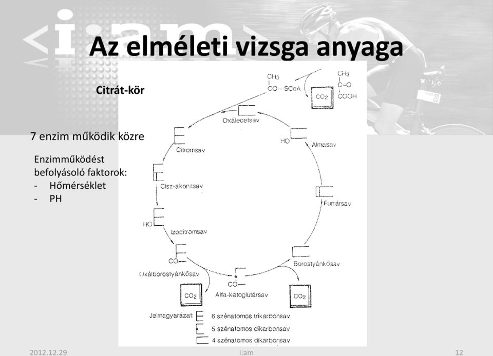 Enzimműködést befolyásoló