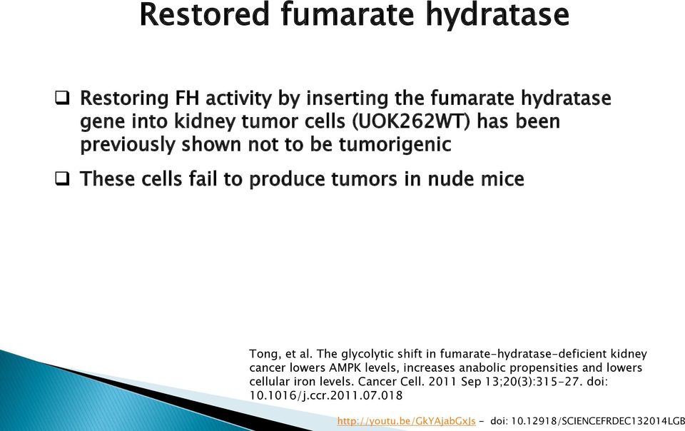 The glycolytic shift in fumarate-hydratase-deficient kidney cancer lowers AMPK levels, increases anabolic propensities and lowers