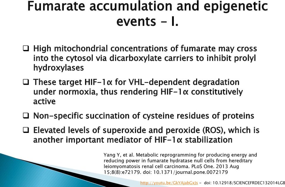 normoxia, thus rendering HIF-1α constitutively active Non-specific succination of cysteine residues of proteins Elevated levels of superoxide and peroxide (ROS), which is another important