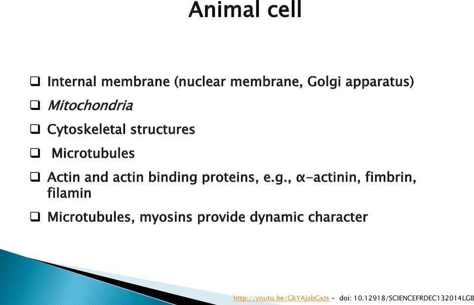 proteins, e.g.