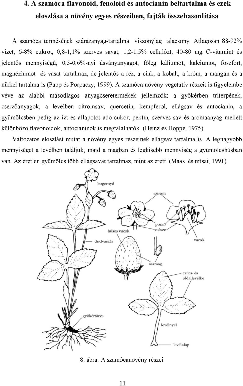 magnéziumot és vasat tartalmaz, de jelentős a réz, a cink, a kobalt, a króm, a mangán és a nikkel tartalma is (Papp és Porpáczy, 1999).