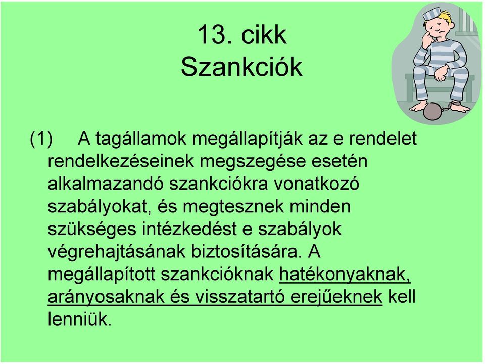 minden szükséges intézkedést e szabályok végrehajtásának biztosítására.