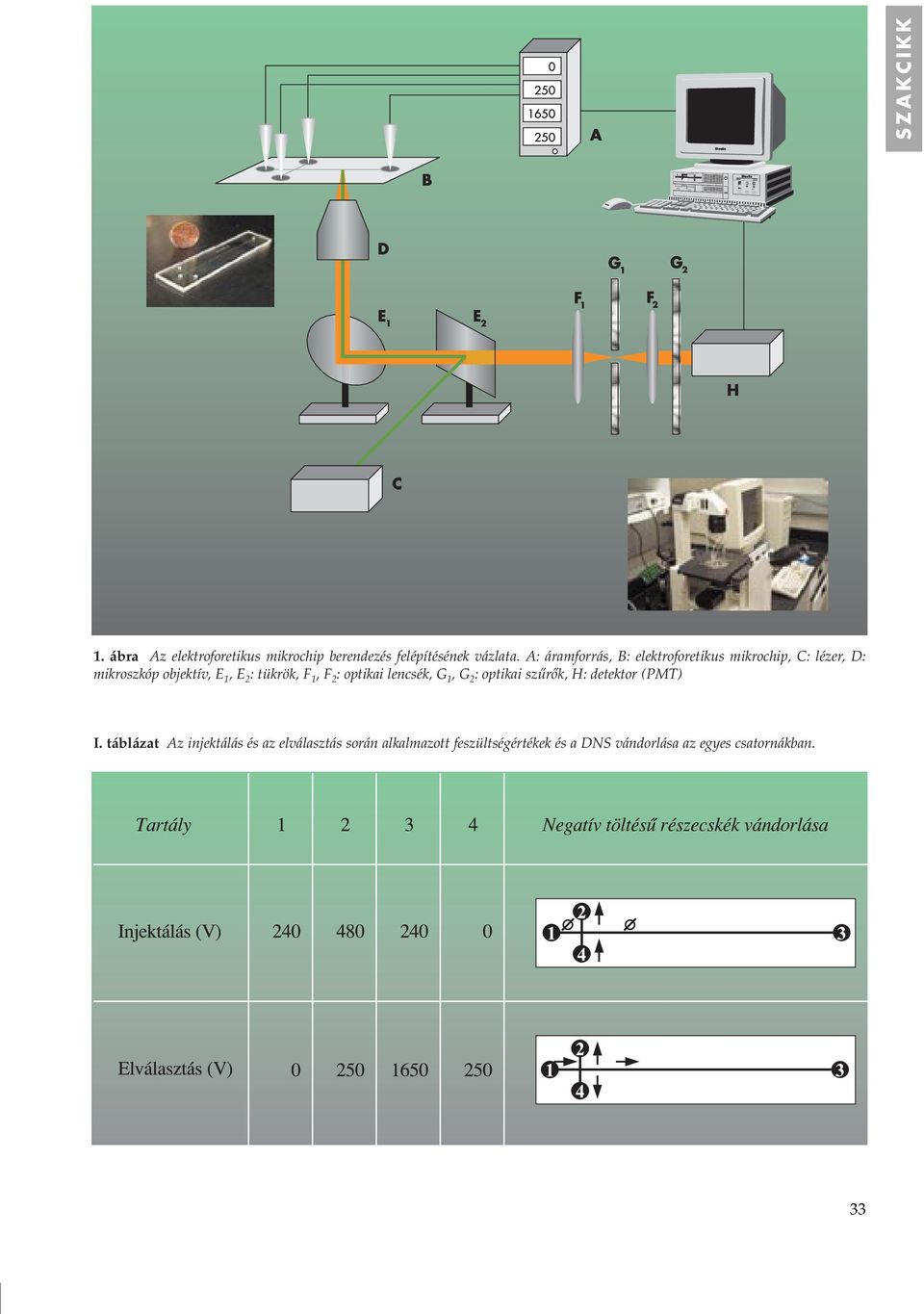 tükrök, F 1, F 2 : optikai lencsék, G 1, G 2 : optikai szûrôk, H: detektor (PMT) I.