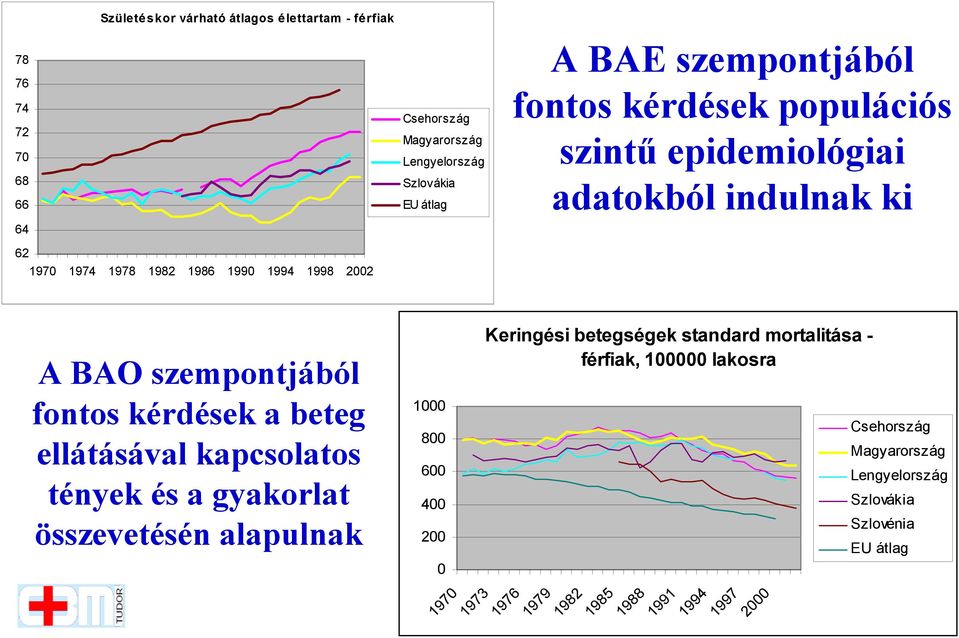 szempontjából fontos kérdések a beteg ellátásával kapcsolatos tények és a gyakorlat összevetésén alapulnak 1000 800 600 400 200 0 1970 1973