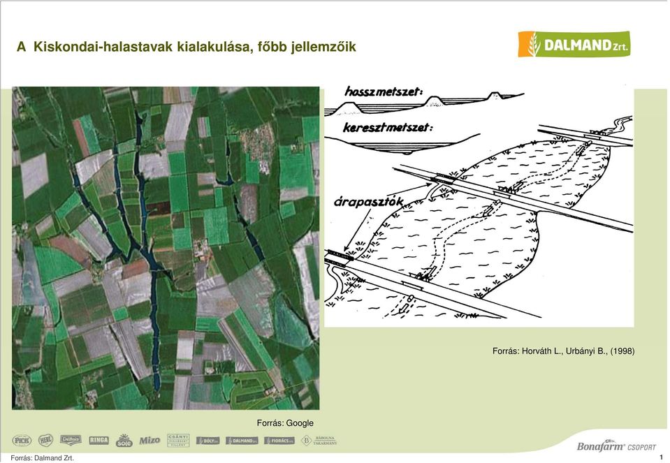 Forrás: Horváth L., Urbányi B.