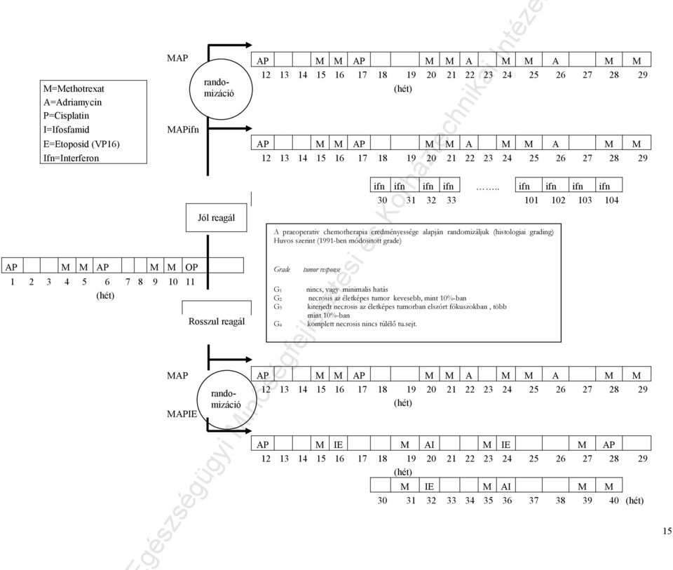 . ifn ifn ifn ifn 30 31 32 33 101 102 103 104 A praeoperativ chemotherapia eredményessége alapján randomizáljuk (histologiai grading) Huvos szerint (1991-ben módositott grade) Grade tumor response G1