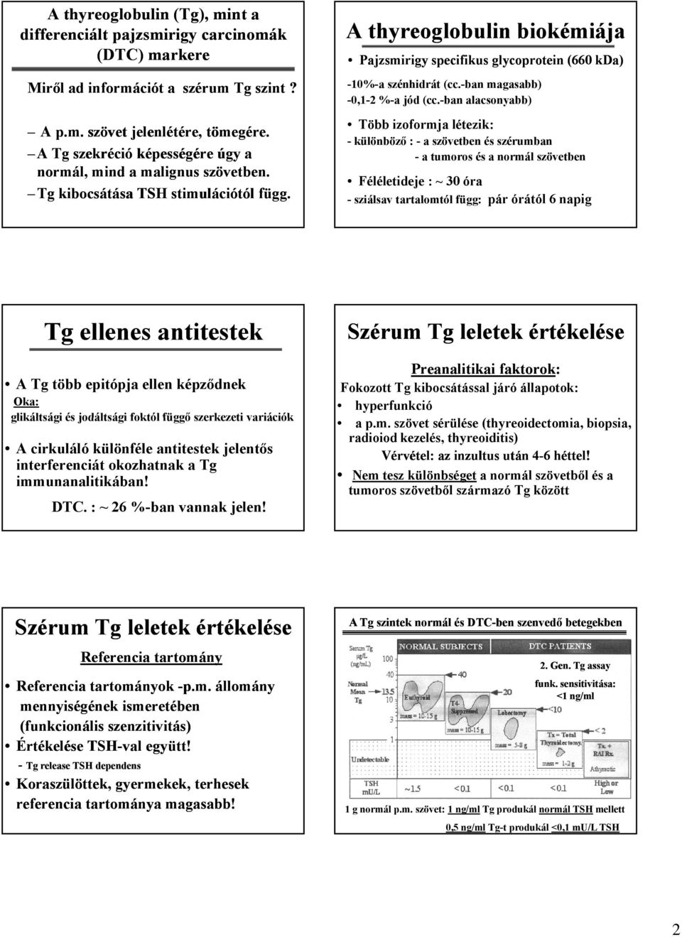 A thyreoglobulin biokémiája Pajzsmirigy specifikus glycoprotein (660 kda) -10%-a szénhidrát (cc.-ban magasabb) -0,1-2 %-a jód (cc.