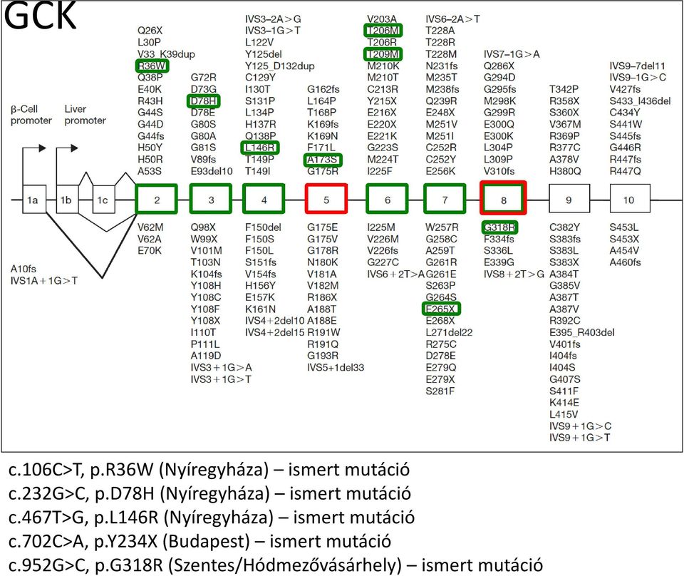 l146r (Nyíregyháza) ismert mutáció c.702c>a, p.