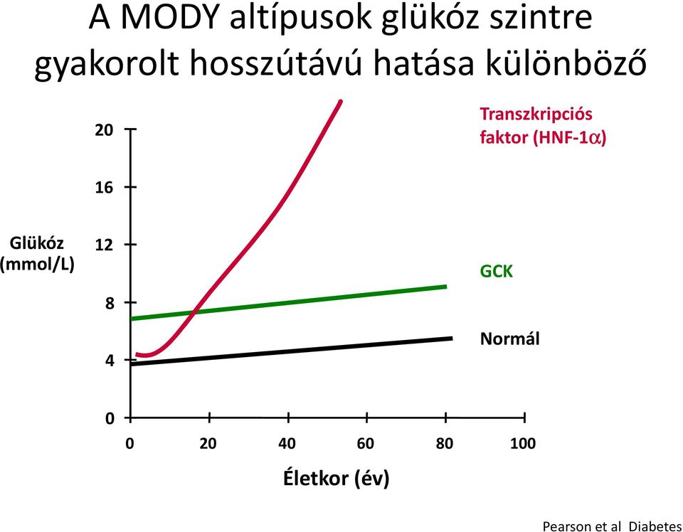 faktor (HNF-1α) 16 Glükóz (mmol/l) 12 8 4 GCK