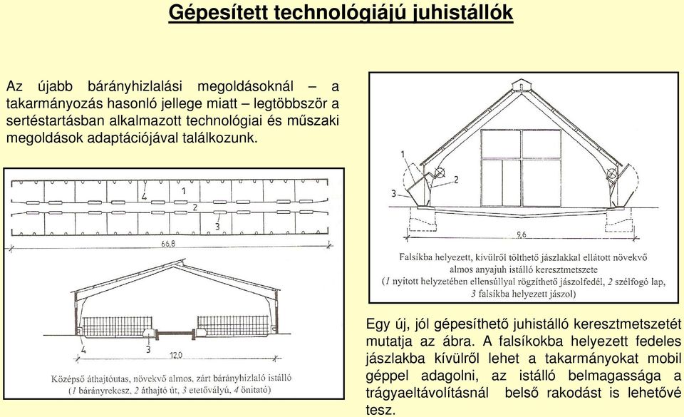 Egy új, jól gépesíthető juhistálló keresztmetszetét mutatja az ábra.