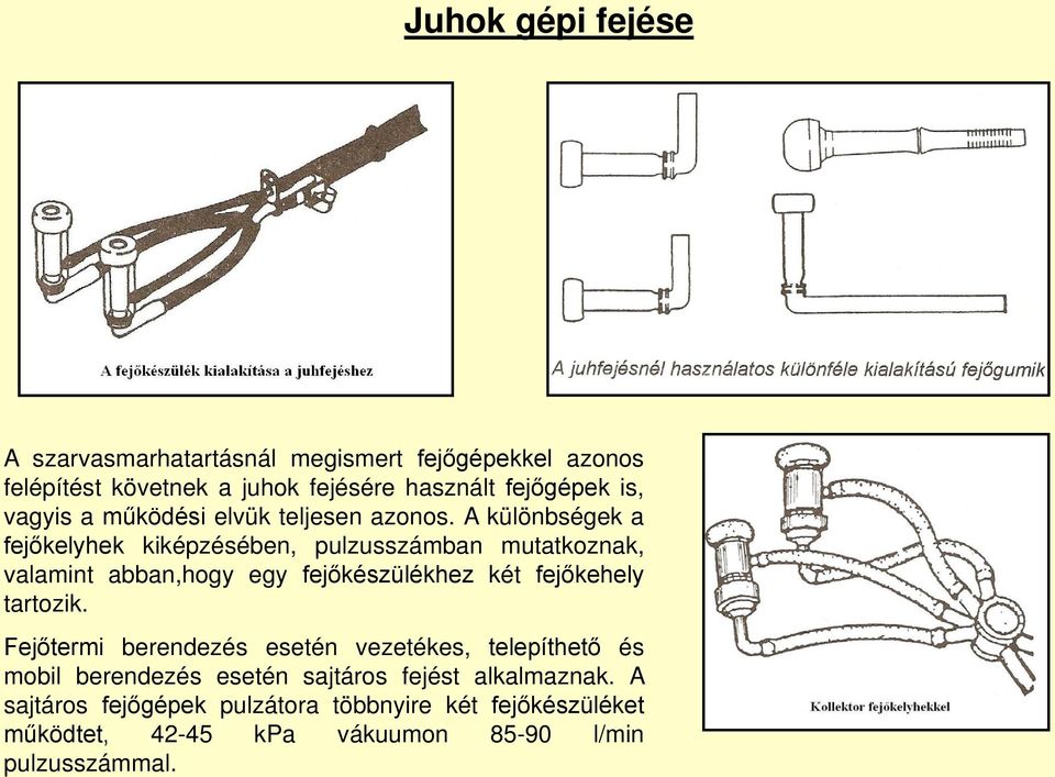 A különbségek a fejőkelyhek kiképzésében, pulzusszámban mutatkoznak, valamint abban,hogy egy fejőkészülékhez két fejőkehely tartozik.