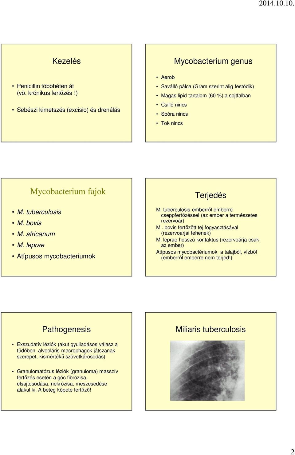 Mycobacterium fajok M. tuberculosis M. bovis M. africanum M. leprae Atípusos mycobacteriumok Terjedés M. tuberculosis emberről emberre cseppfertőzéssel (az ember a természetes rezervoár) M.