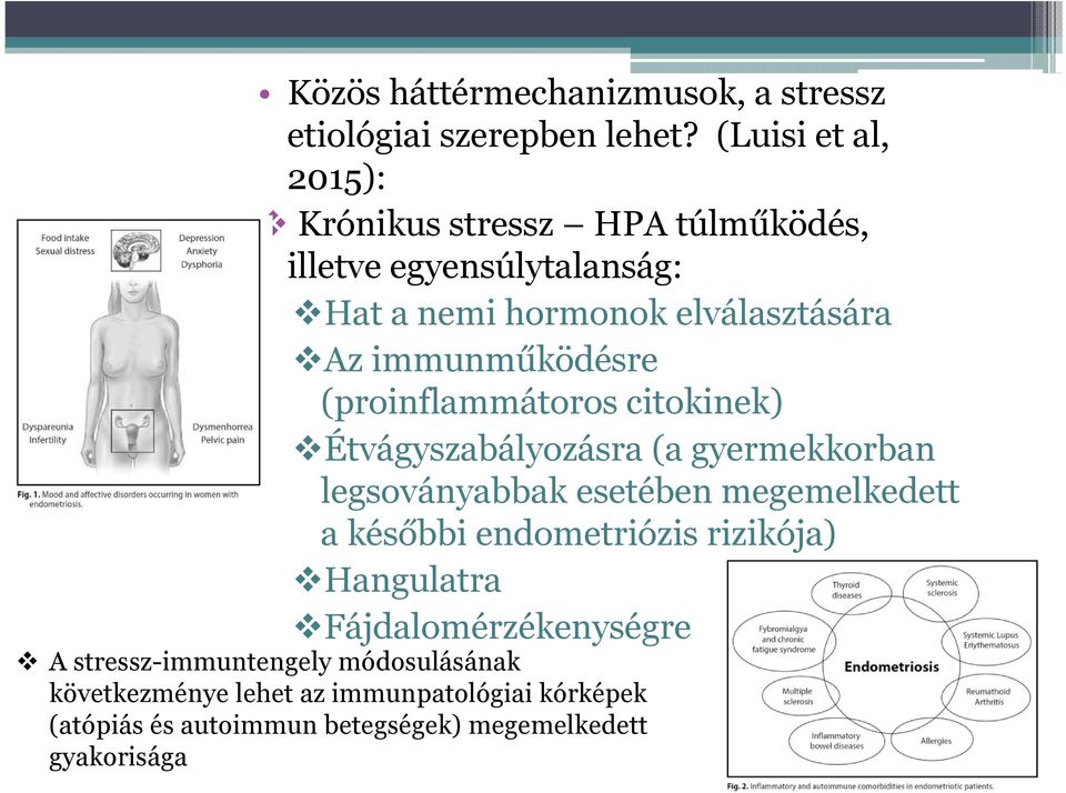 immunműködésre (proinflammátoros citokinek) Étvágyszabályozásra (a gyermekkorban legsoványabbak esetében megemelkedett a későbbi