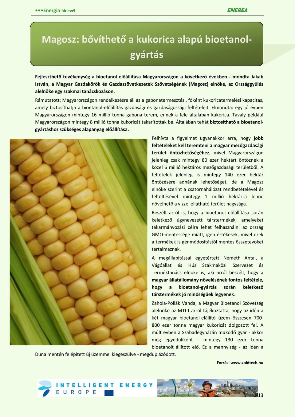Rámutatott: Magyarországon rendelkezésre áll az a gabonatermesztési, főként kukoricatermelési kapacitás, amely biztosíthatja a bioetanol-előállítás gazdasági és gazdaságossági feltételeit.