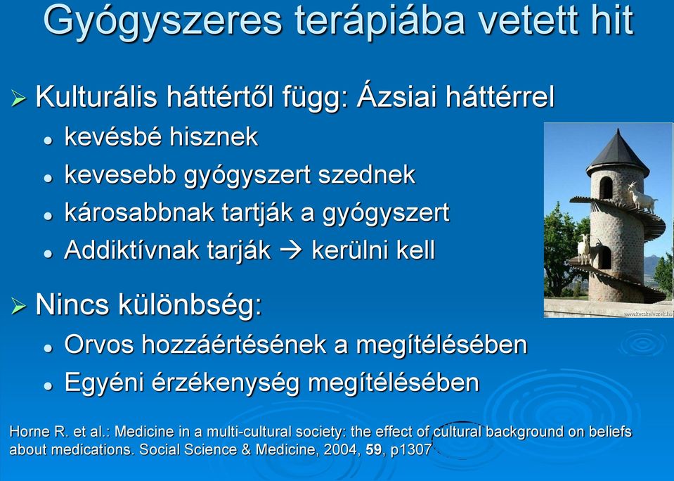 hozzáértésének a megítélésében Egyéni érzékenység megítélésében Horne R. et al.