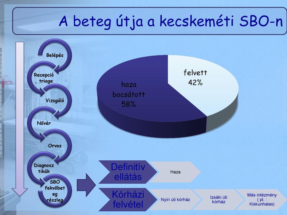 tikák SBO fekvőbet eg részleg Definitív ellátás Kórházi felvétel