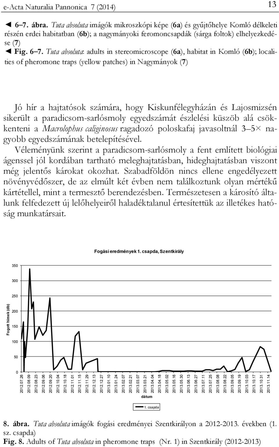 ábra. Tuta absoluta imágók mikroszkópi képe (6a) és gyűjtőhelye Komló délkeleti részén erdei habitatban (6b); a nagymányoki feromoncsapdák (sárga foltok) elhelyezkedése (7) Fig. 6 7.