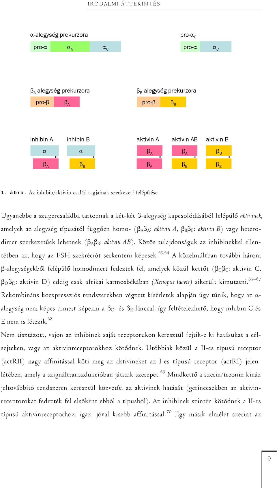 Az inhibin/aktivin család tagjainak szerkezeti felépítése Ugyanebbe a szupercsaládba tartoznak a két-két β-alegység kapcsolódásából felépülő aktivinek, amelyek az alegység típusától függően homo- (β