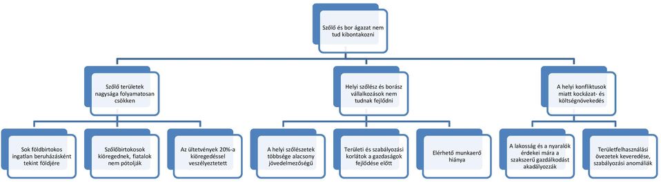 ültetvények 20%-a kiöregedéssel veszélyeztetett A helyi szőlészetek többsége alacsony jövedelmezőségű Területi és szabályozási korlátok a gazdaságok fejlődése