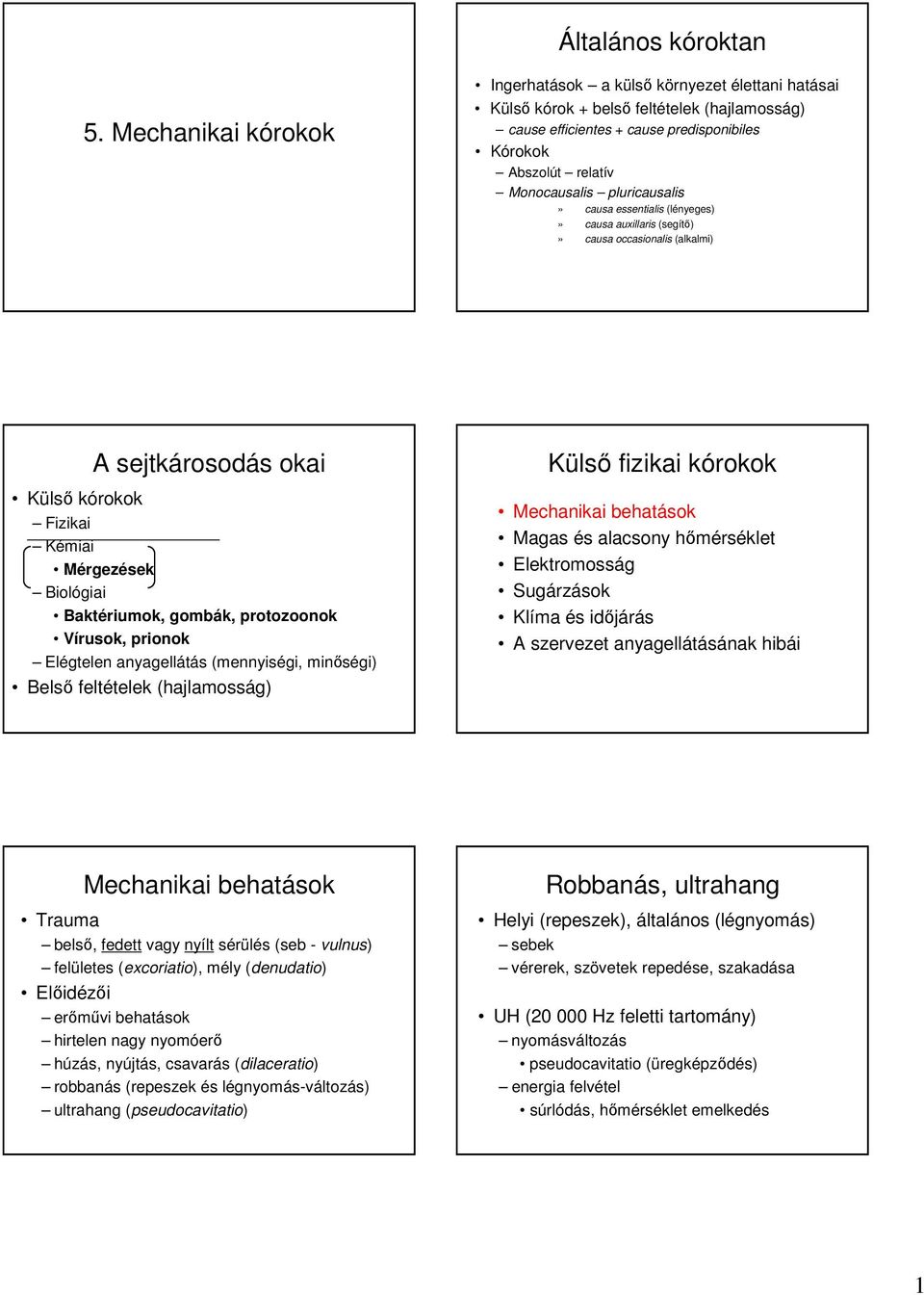 pluricausalis» causa essentialis (lényeges)» causa auxillaris (segítı)» causa occasionalis (alkalmi) A sejtkárosodás okai Külsı kórokok Fizikai Kémiai Mérgezések Biológiai Baktériumok, gombák,