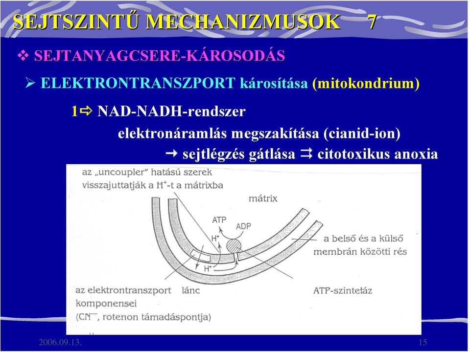NAD-NADH-rendszer elektronáramlás megszakítása