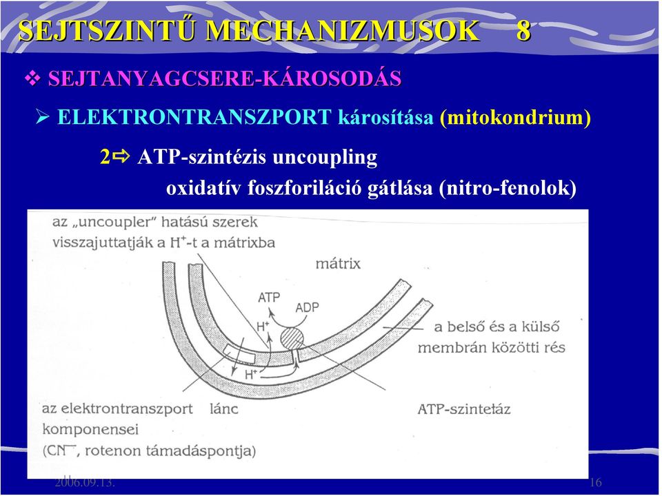 károsítása (mitokondrium) 2 ATP-szintézis