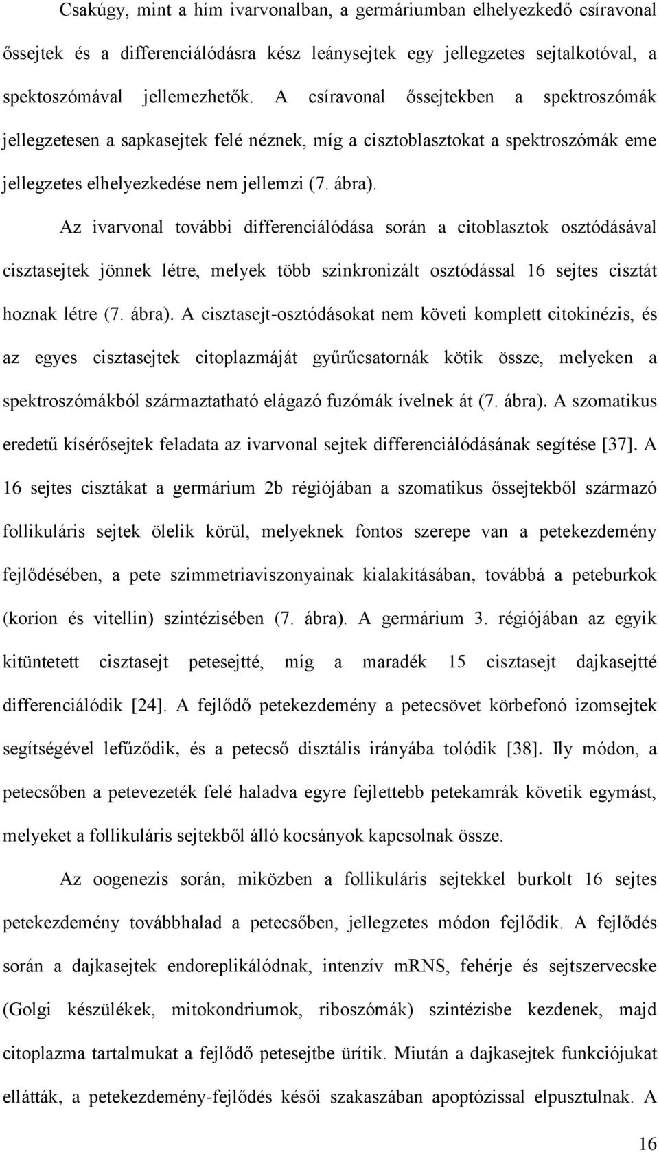 Az ivarvonal további differenciálódása során a citoblasztok osztódásával cisztasejtek jönnek létre, melyek több szinkronizált osztódással 16 sejtes cisztát hoznak létre (7. ábra).