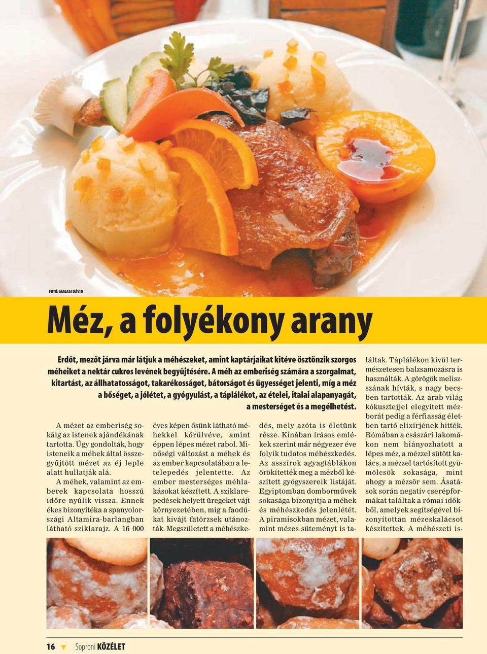 alapanyagát, a mesterséget és a megélhetést. A mézet az emberiség sokáig az istenek ajándékának tartotta.