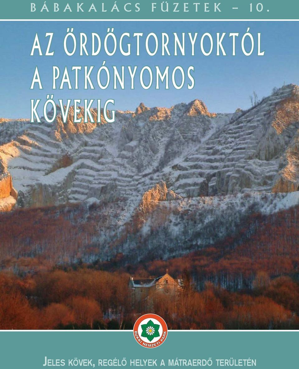 PATKÓNYOMOS KÖVEKIG JELES