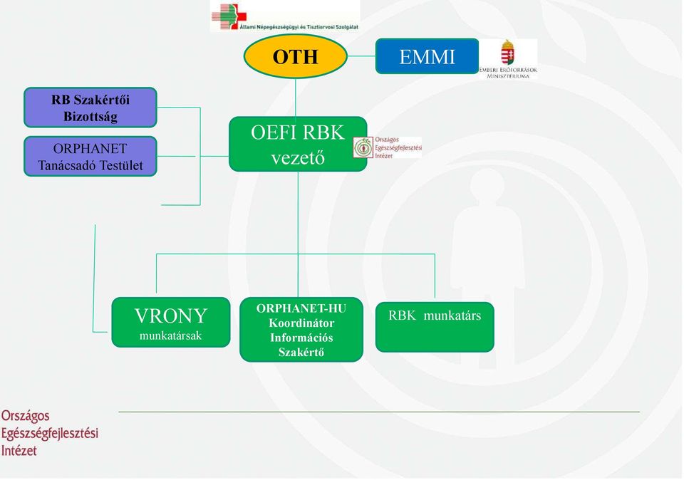 vezető VRONY munkatársak ORPHANET-HU