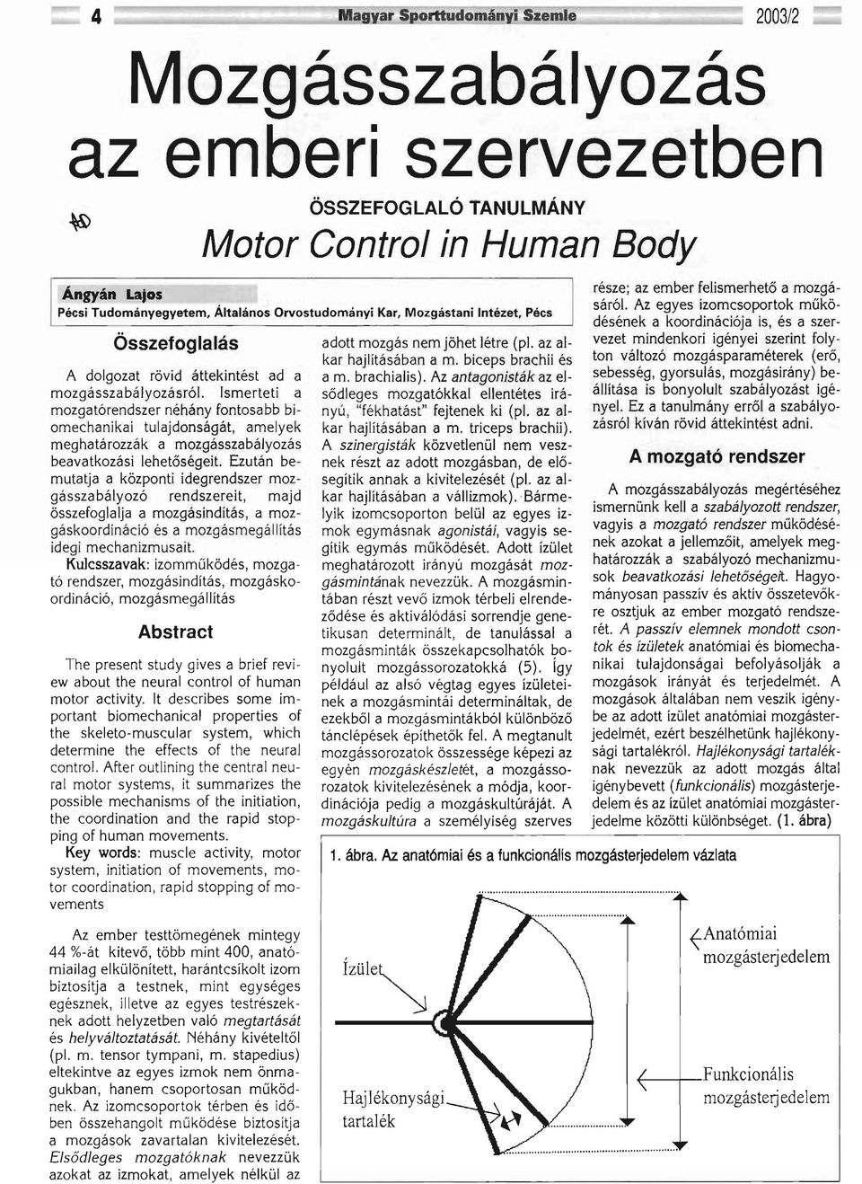 Ismerteti a mozgatórendszer néhány fontosabb biomechanikai tulajdonságát, amelyek meghatározzák a mozgásszabályozás beavatkozási lehetőségeit.