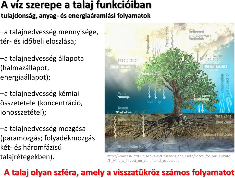 ionösszetétel); a talajnedvesség mozgása (páramozgás; folyadékmozgás két- és háromfázisú talajrétegekben). http://www.esa.