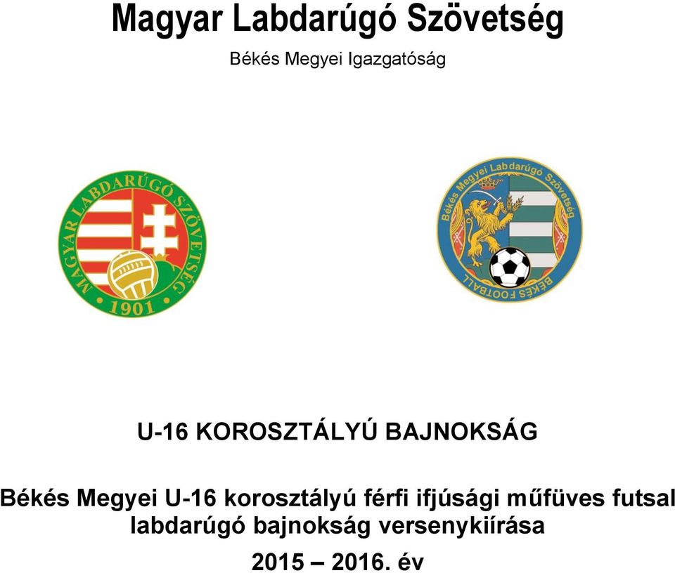 Megyei U-16 korosztályú férfi ifjúsági műfüves