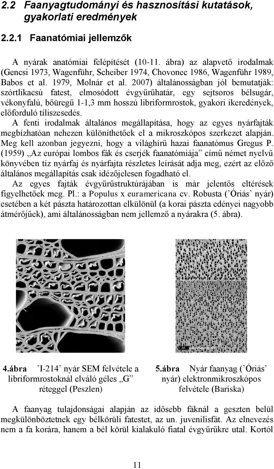 2007) általánosságban jól bemutatják: szórtlikacsú fatest, elmosódott évgyűrűhatár, egy sejtsoros bélsugár, vékonyfalú, bőüregű 1-1,3 mm hosszú libriformrostok, gyakori ikeredények, előforduló