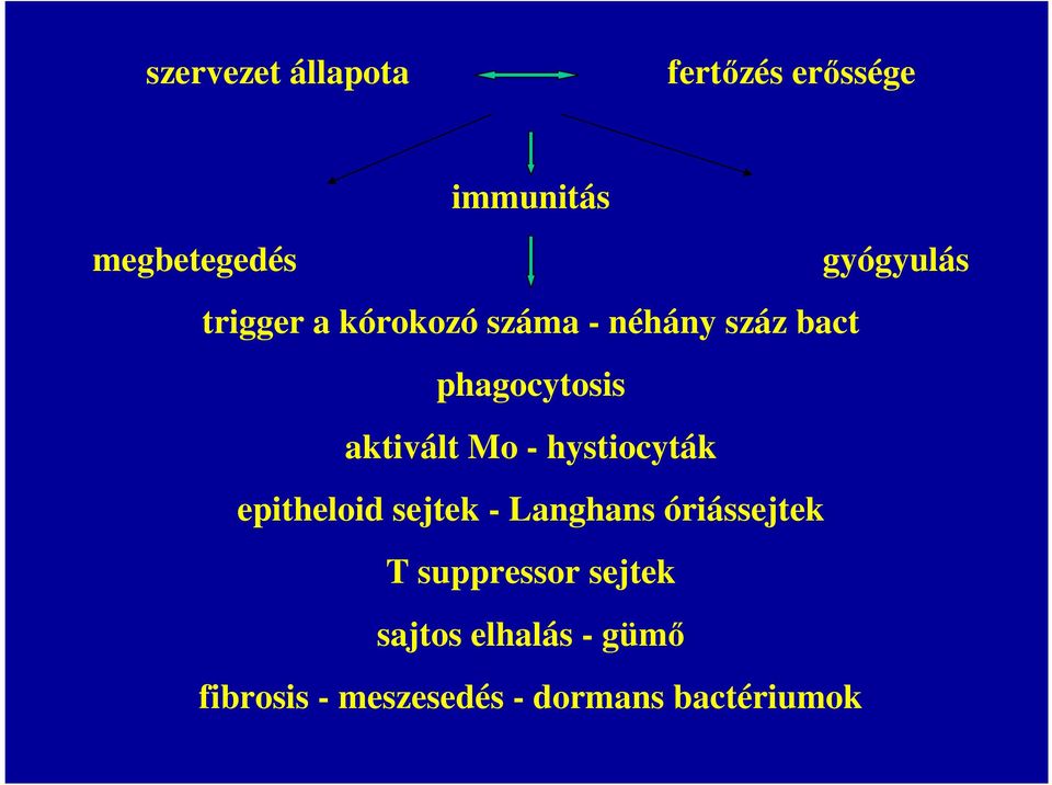 - hystiocyták epitheloid sejtek - Langhans óriássejtek T suppressor