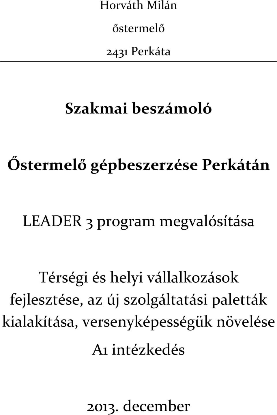 helyi vállalkozások fejlesztése, az új szolgáltatási paletták