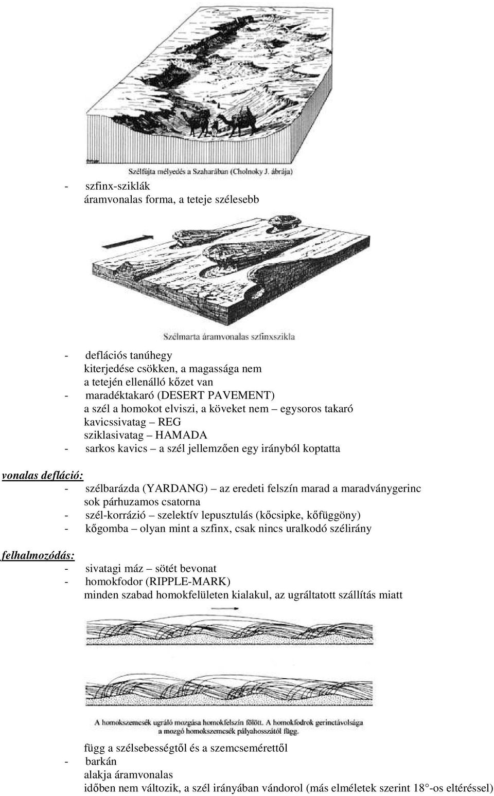 marad a maradványgerinc sok párhuzamos csatorna - szél-korrázió szelektív lepusztulás (kıcsipke, kıfüggöny) - kıgomba olyan mint a szfinx, csak nincs uralkodó szélirány felhalmozódás: - sivatagi máz