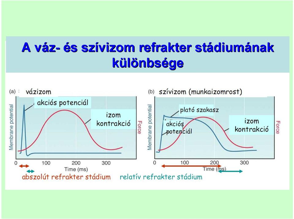 refrakter