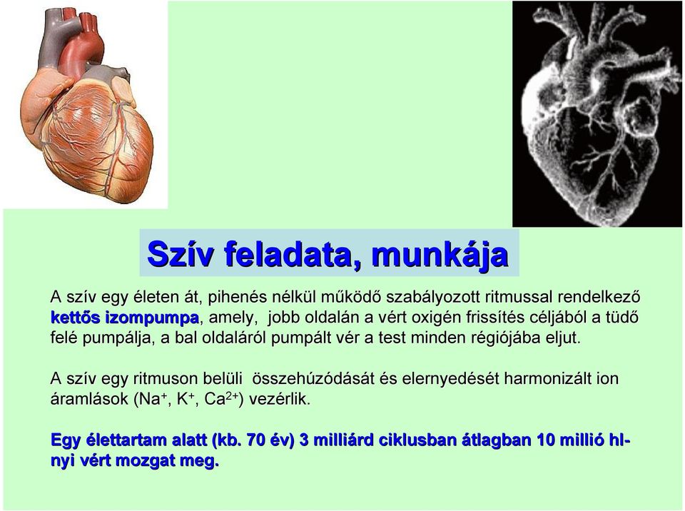 a test minden régiójába eljut.