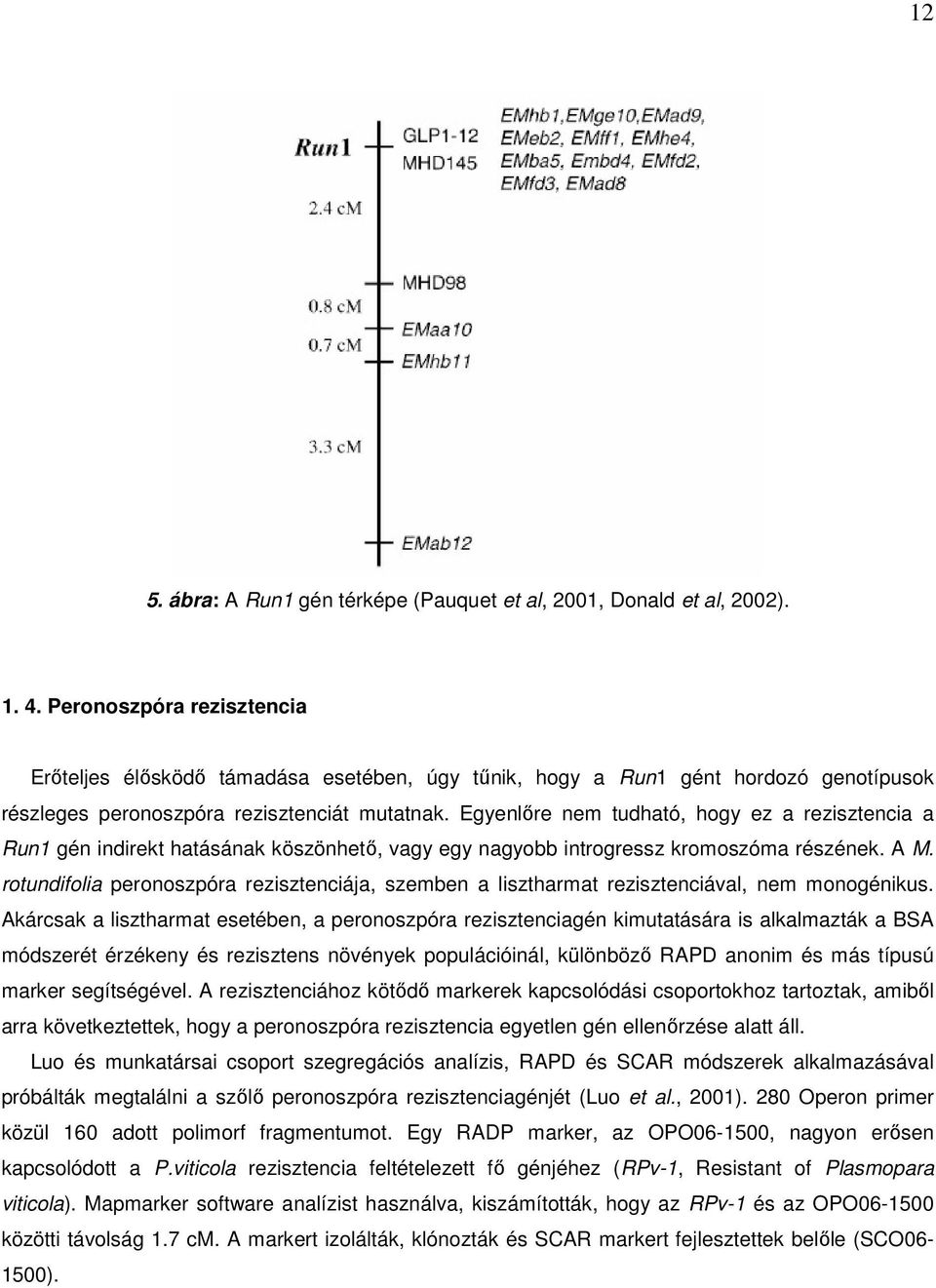 Egyenlőre nem tudható, hogy ez a rezisztencia a Run1 gén indirekt hatásának köszönhető, vagy egy nagyobb introgressz kromoszóma részének. A M.