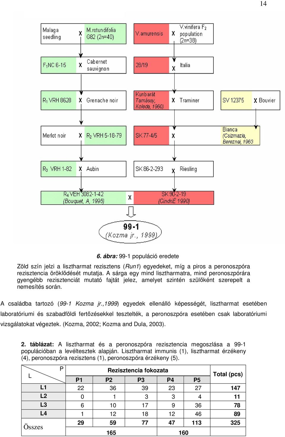 ,1999) egyedek ellenálló képességét, lisztharmat esetében laboratóriumi és szabadföldi fertőzésekkel tesztelték, a peronoszpóra esetében csak laboratóriumi vizsgálatokat végeztek.