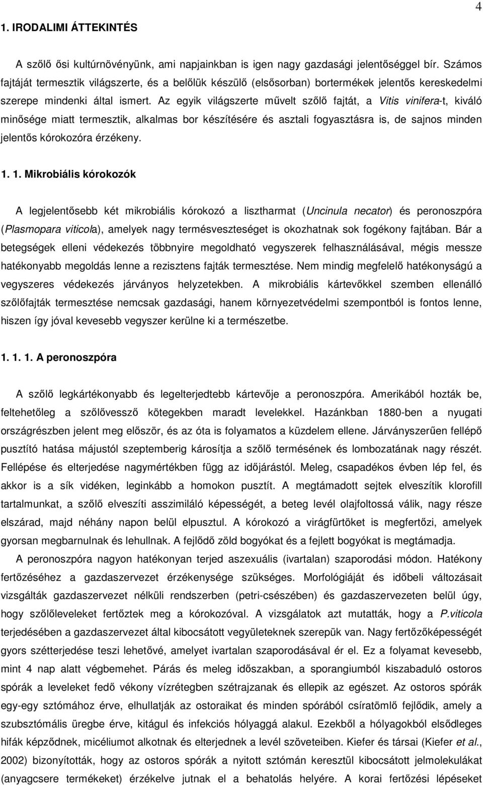 Az egyik világszerte művelt szőlő fajtát, a Vitis vinifera-t, kiváló minősége miatt termesztik, alkalmas bor készítésére és asztali fogyasztásra is, de sajnos minden jelentős kórokozóra érzékeny. 1.