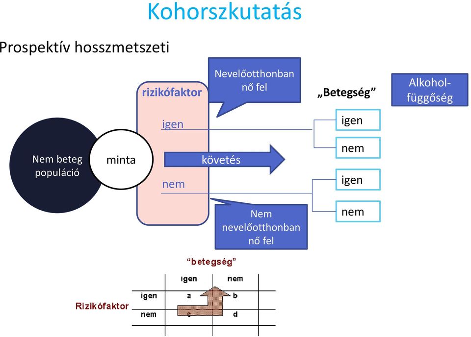 Alkoholfüggőség igen igen Nem beteg populáció