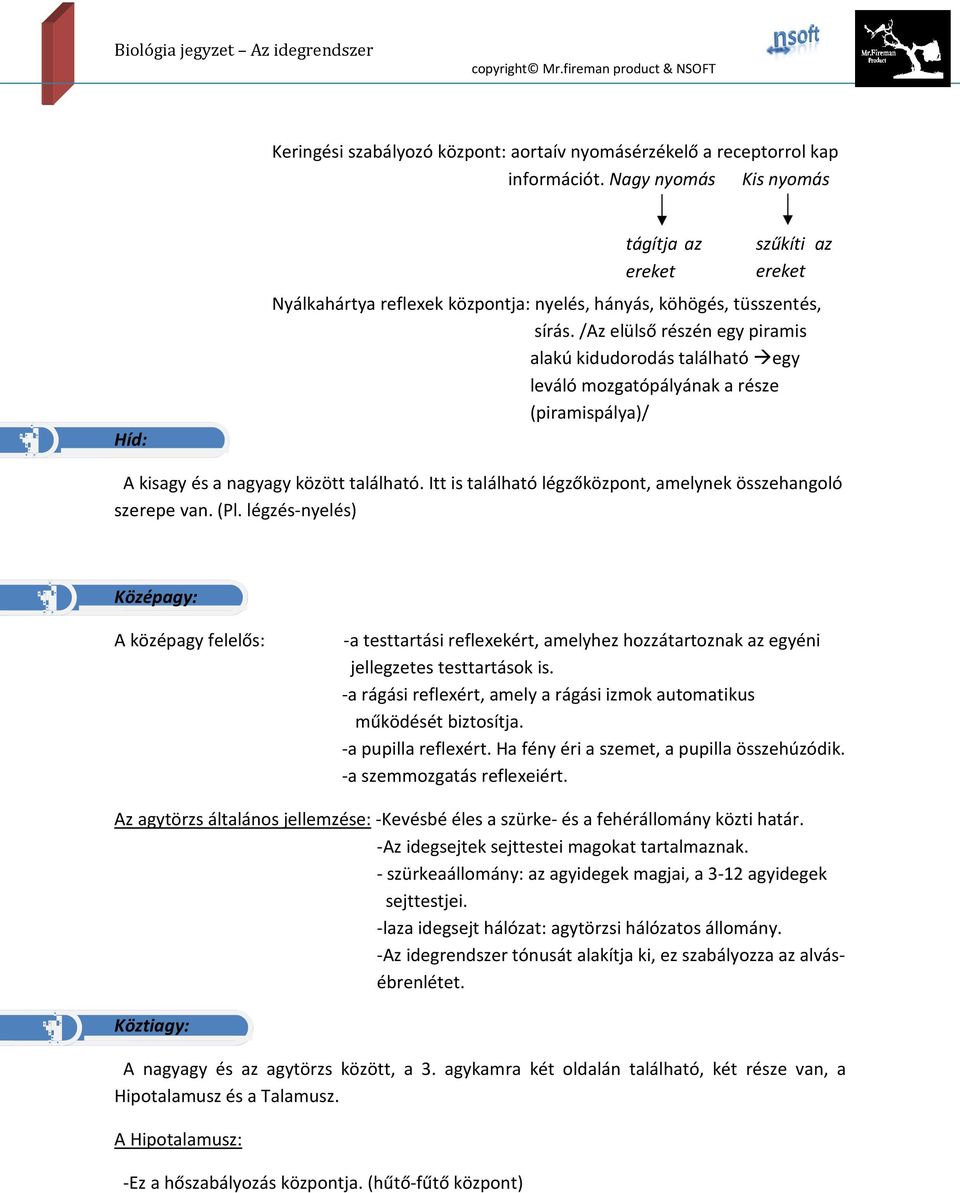 /Az elülső részén egy piramis alakú kidudorodás található egy leváló mozgatópályának a része (piramispálya)/ A kisagy és a nagyagy között található.