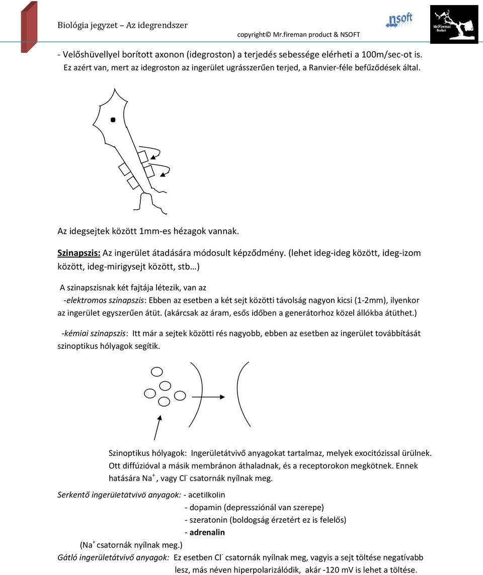 (lehet ideg-ideg között, ideg-izom között, ideg-mirigysejt között, stb ) A szinapszisnak két fajtája létezik, van az -elektromos szinapszis: Ebben az esetben a két sejt közötti távolság nagyon kicsi