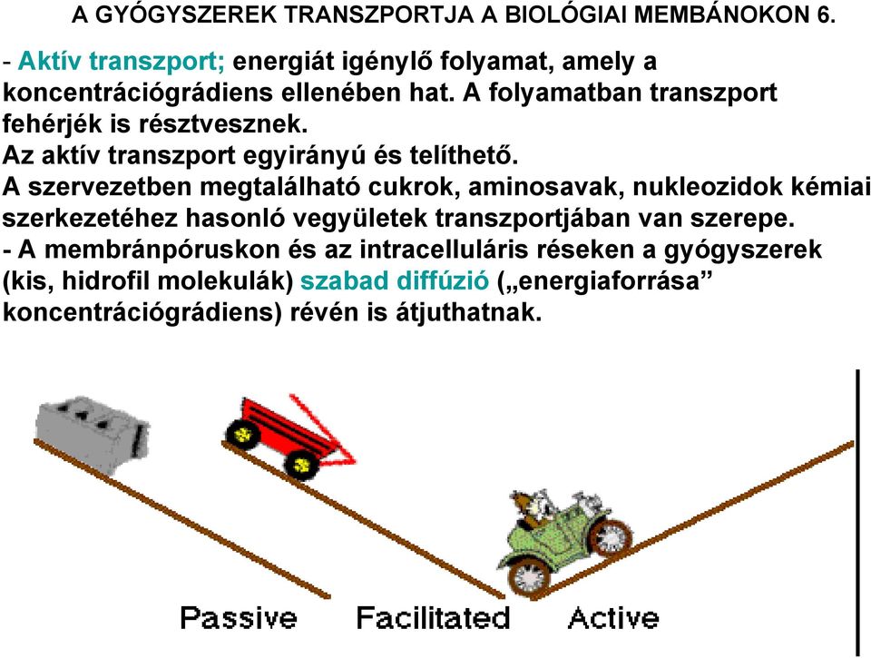 A folyamatban transzport fehérjék is résztvesznek. Az aktív transzport egyirányú és telíthető.