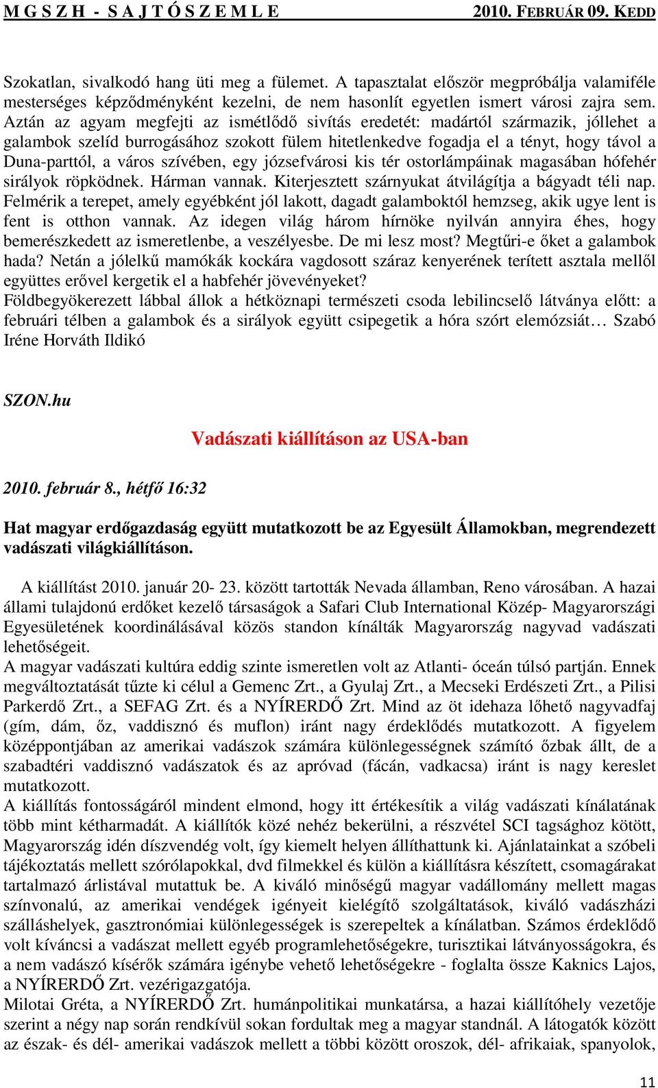 szívében, egy józsefvárosi kis tér ostorlámpáinak magasában hófehér sirályok röpködnek. Hárman vannak. Kiterjesztett szárnyukat átvilágítja a bágyadt téli nap.