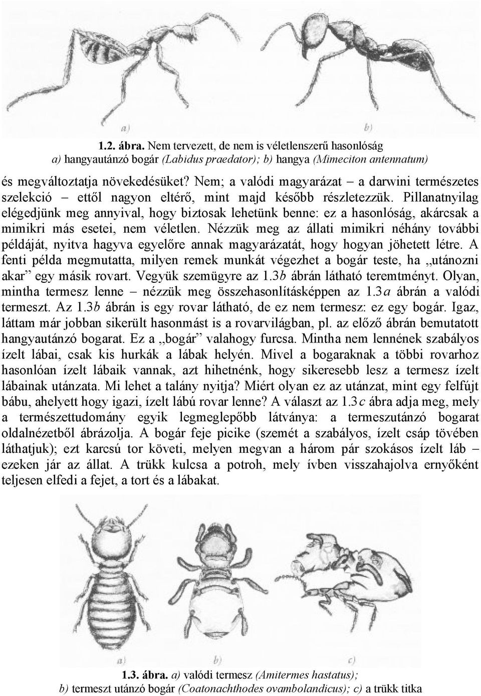 Pillanatnyilag elégedjünk meg annyival, hogy biztosak lehetünk benne: ez a hasonlóság, akárcsak a mimikri más esetei, nem véletlen.